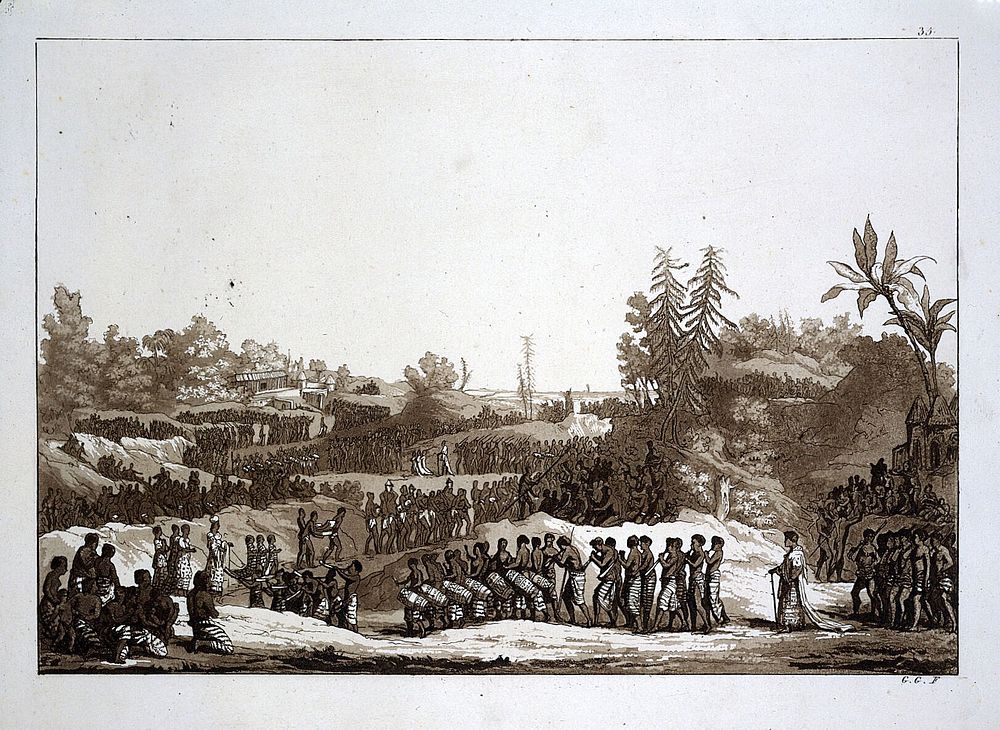 Guinea, West Africa: the procession in honour of the snake, marking the coronation on 16 April 1725. Aquatint by G. Gallina…