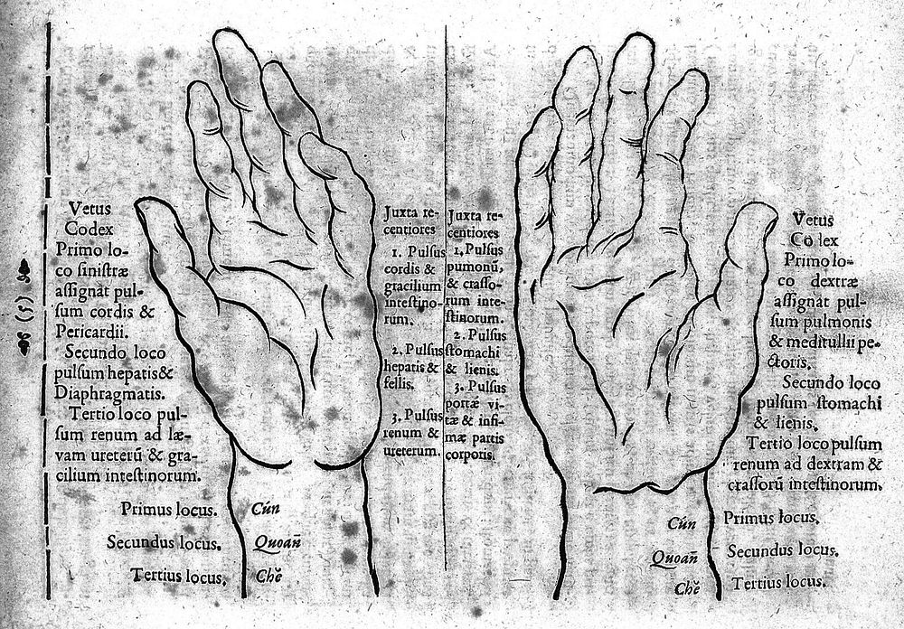Specimen medicinae Sinicae, sive opuscula medica ad mentem Sinensium, continens: I. De pulsibus libros quatuor e Sinico…
