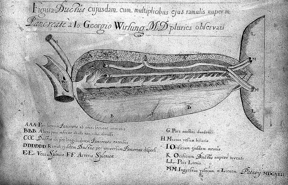 Catoptron microcosmicum, suis aere incisis visionibus splendens, cum historia, et pinace, de nova prodit / [Johann Remmelin].