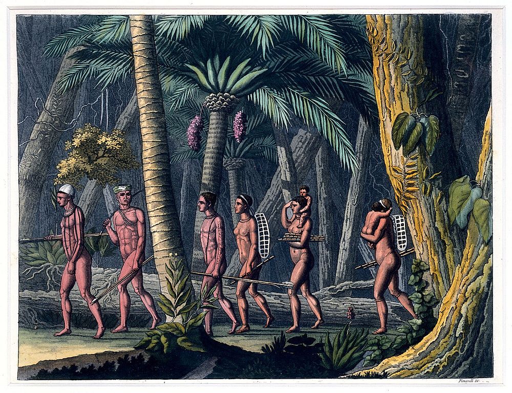 Puri Indians by the Paraiba river, Brazil. Coloured aquatint by P. Fumagalli, ca. 1821, after M. Zu Wied-Neuwied.