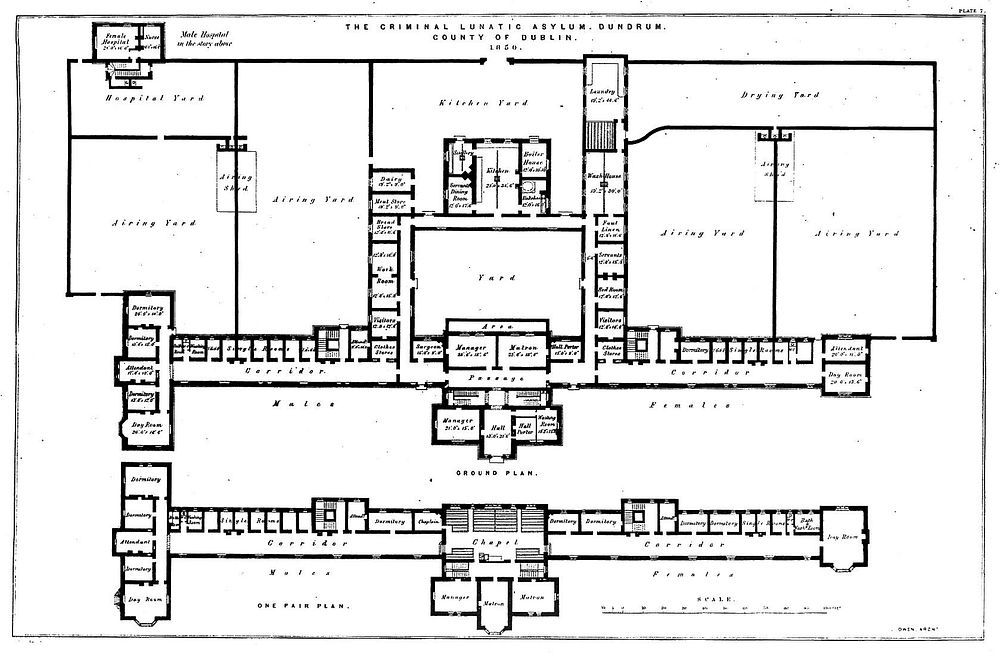 The floor plan with scale of the Criminal Lunatic Asylum, Dundrum, Dublin, Ireland. Transfer lithograph by J.R. Jobbins…