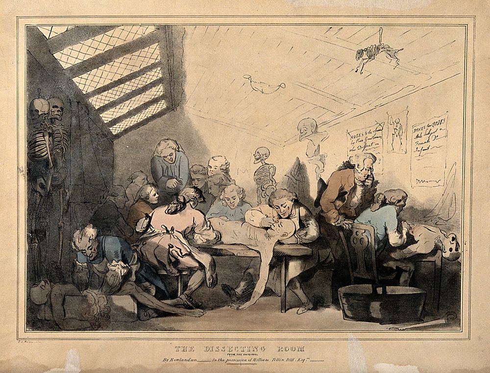 Three anatomical dissections taking place in an attic. Coloured lithograph by T. C. Wilson after a pen and wash drawing by…
