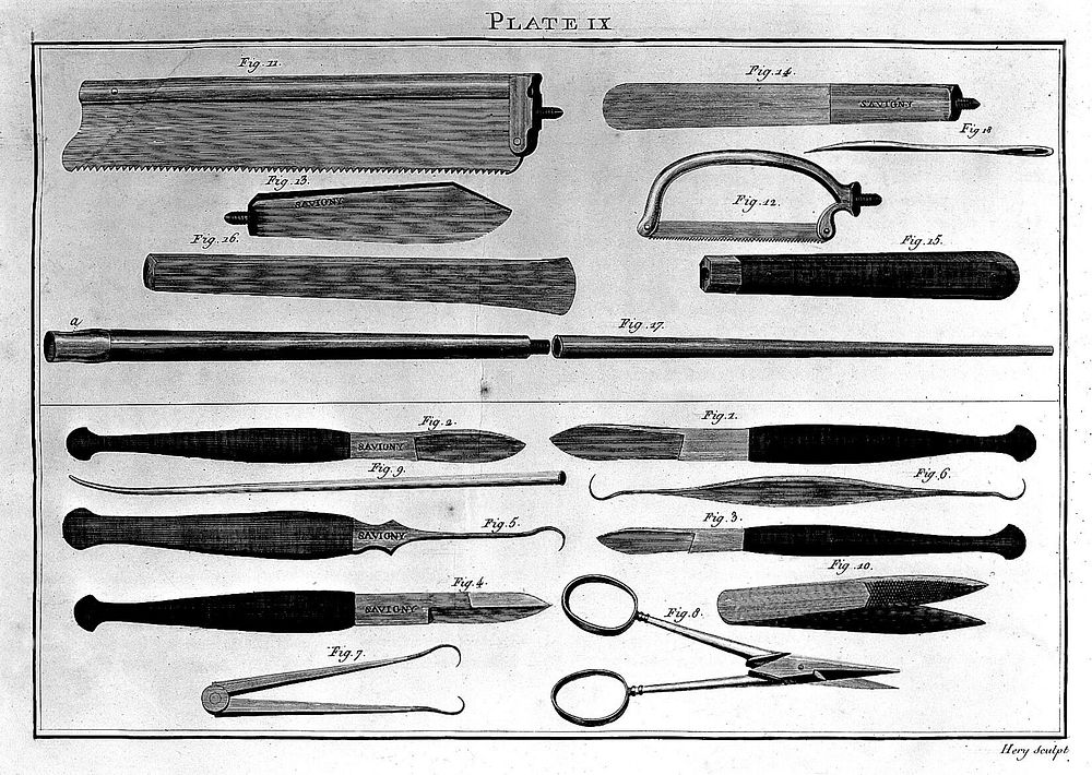 Engraving: Instruments for use in anatomical dissection.