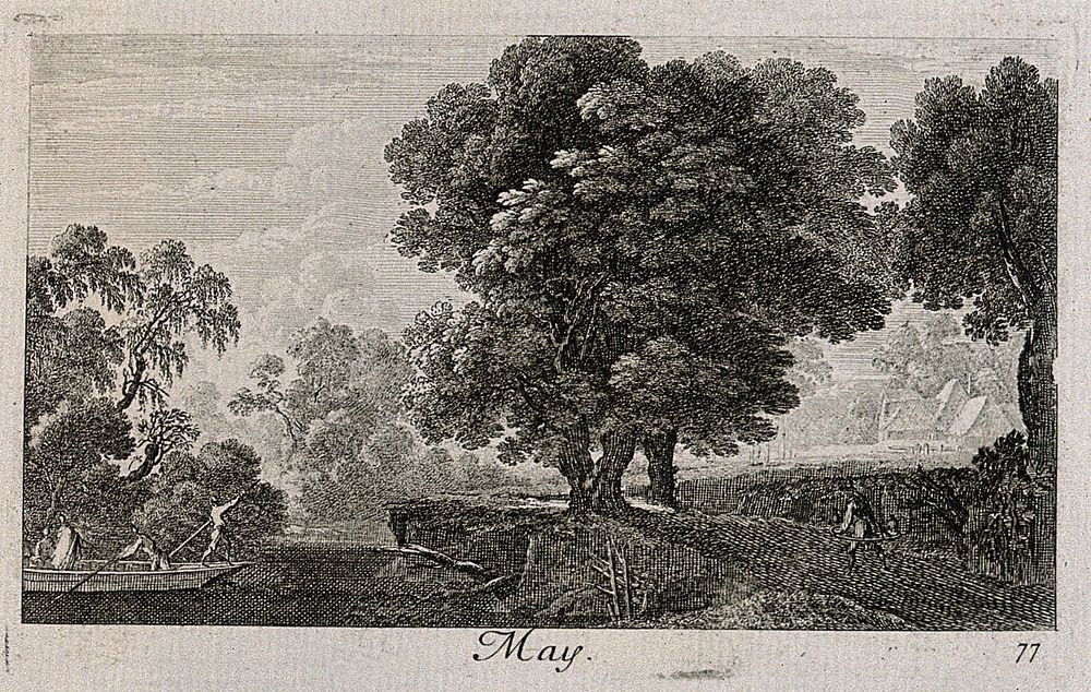 People rowing on a river overlooked by a large tree; representing May. Etching by G. Perelle, c. 1660.