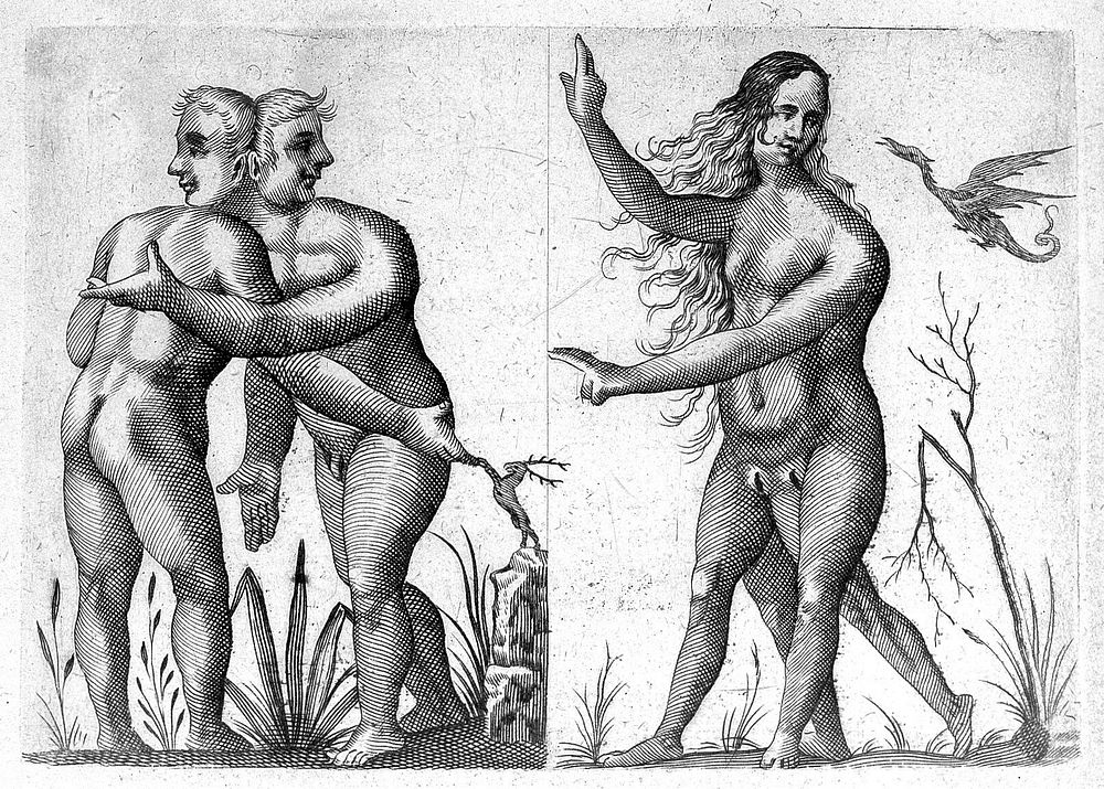 De monstrorum caussis, natura, et differentiis libri duo.