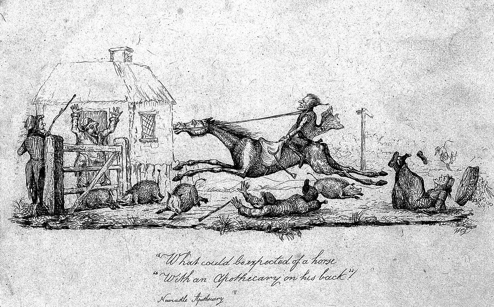 An apothecary riding a horse that is out of control and knocking over everything in its way. Etching by W.E.G.