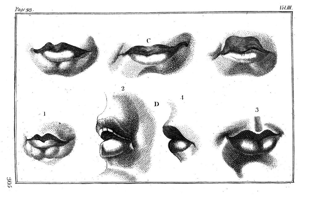 Heads demonstrating points of physiognomy, from Lavater, Essays on physiognomy, 1797