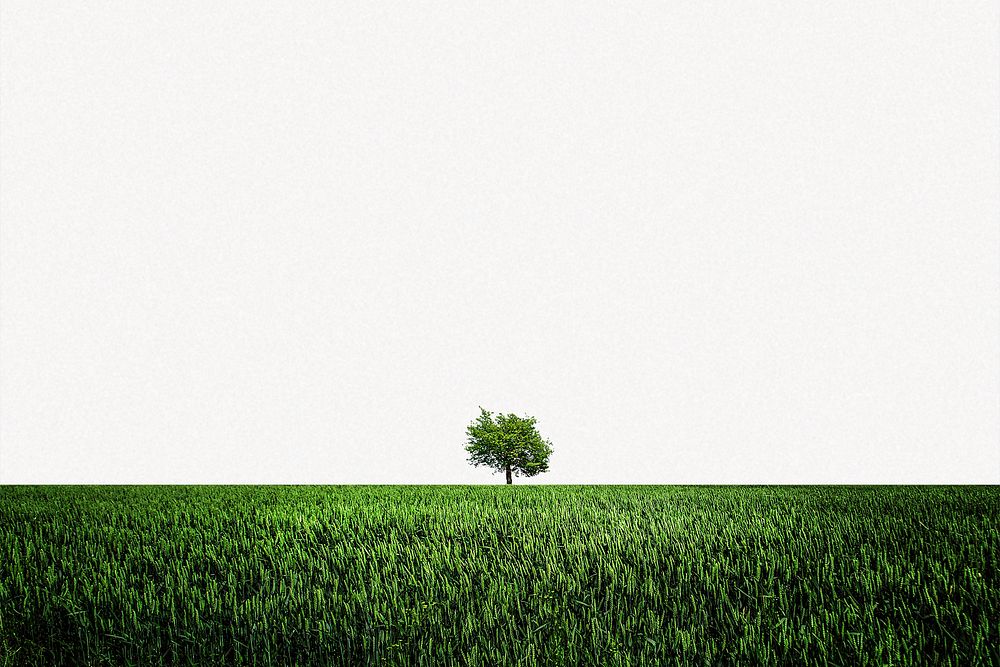 Spring nature background, tree in grass field border