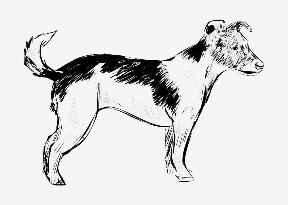 Jack Russell Terrier dog animal illustration vector