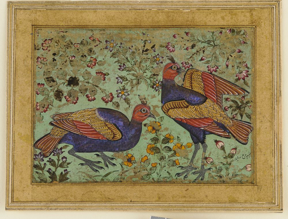 Two pheasants, Golconda Court