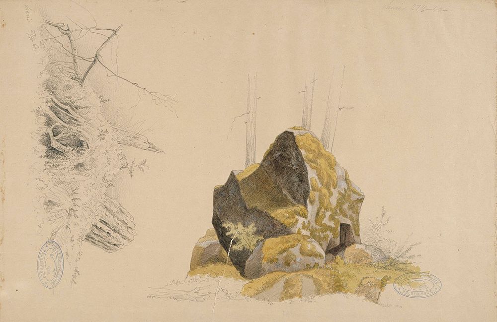Sammaloitunut kivi ja vanha kanto, kaksi harjoitelmaa, 1864 by Magnus von Wright