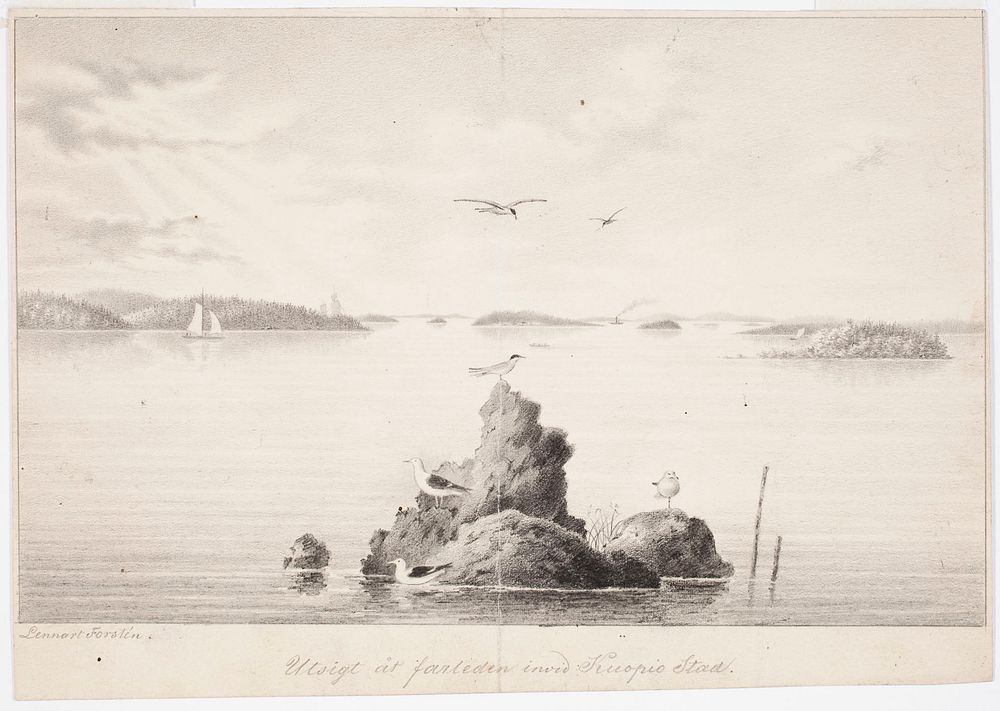 Shipping lane outside of kuopio, original drawing for finland depicted in drawings, 1846