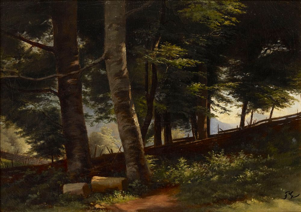 Inside the forest, 1871 - 1872