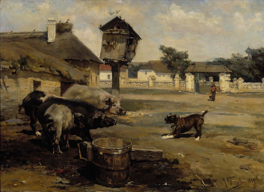 Swines, 1889