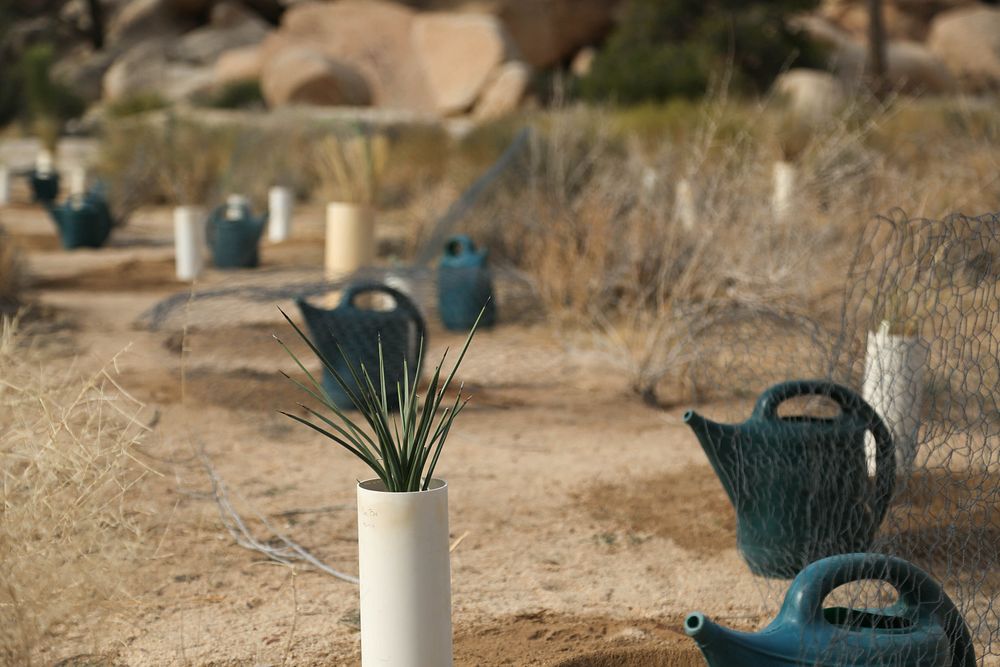 Preparing to plant near Hemingway Free Photo rawpixel