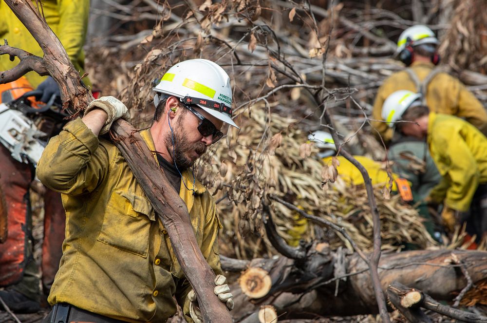 US firefighters in Australia Free Photo rawpixel