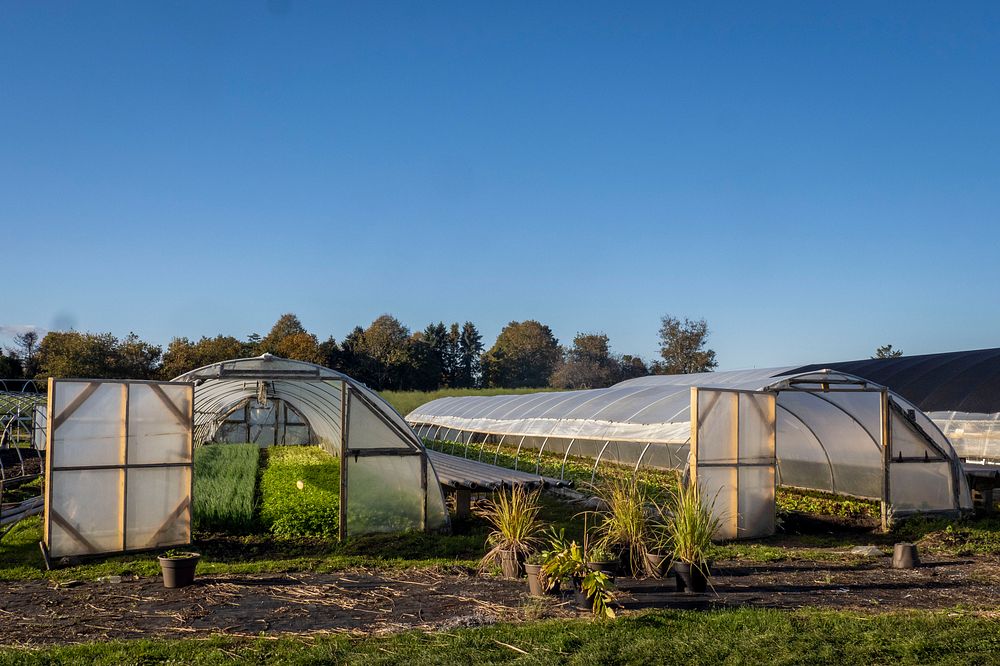 Sang Lee Farms, in Peconic, Free Photo rawpixel