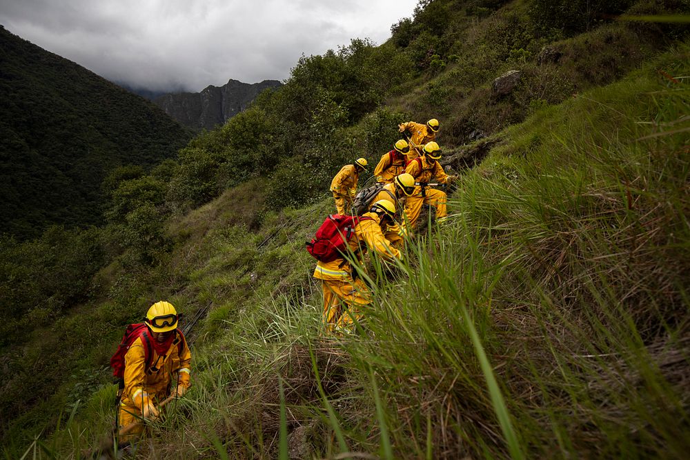 Firefighters, rescue team hiking, forest fire. Original public domain image from Flickr