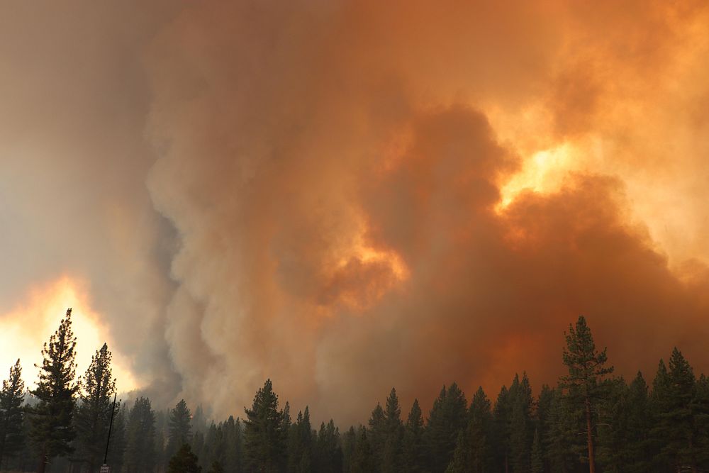 Tamarack Fire. A column of smoke  Free Photo - rawpixel