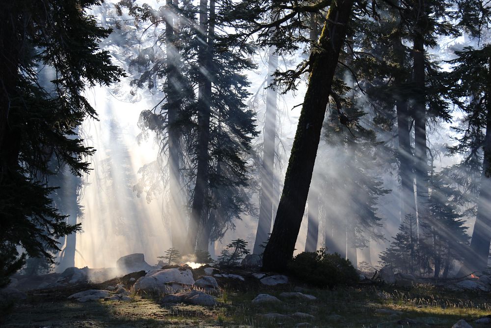 Lukens Fire. Morning light streams Free Photo rawpixel