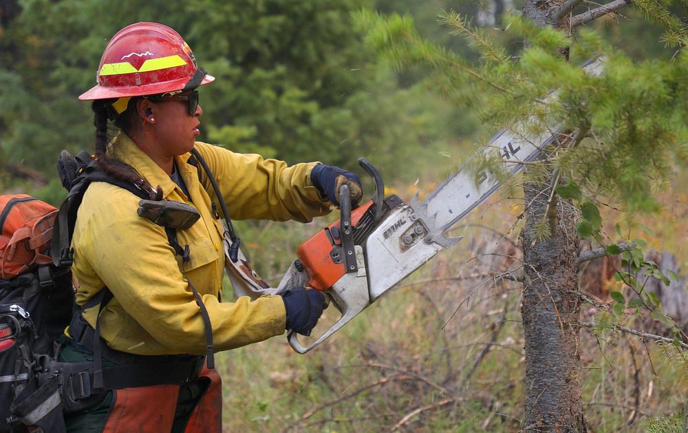 Sawyer, Bolt Creek Fire, Washington Credit:Northwest Region-Department of Natural ResourcesWashingtonvia InciWeb