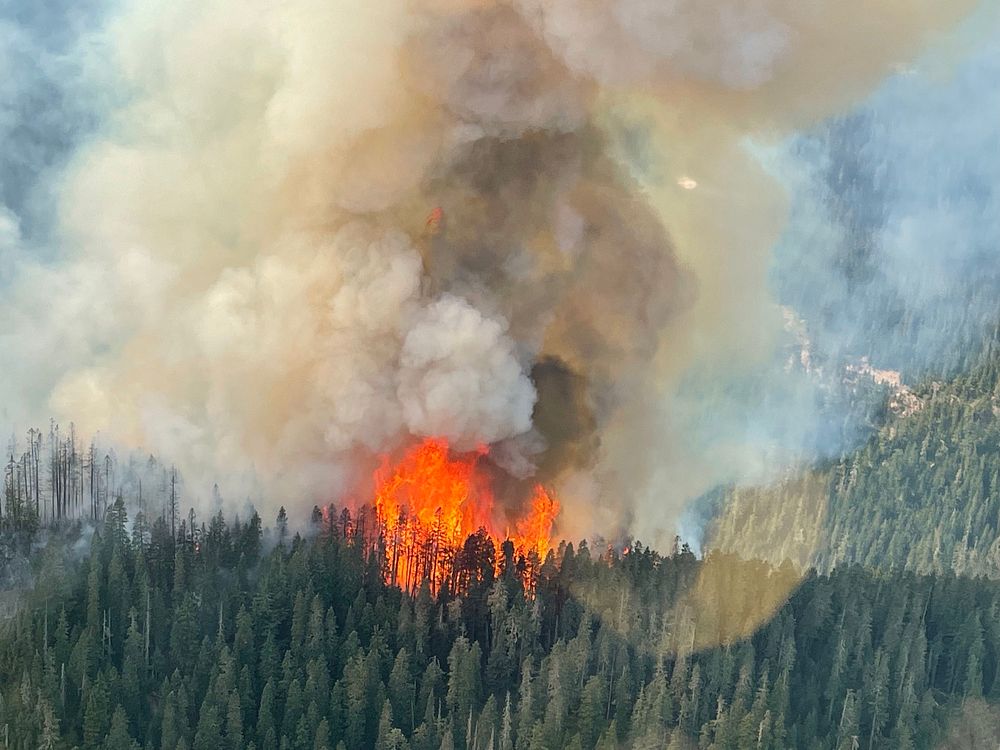 Active wildfire, The Goat Rocks Fire.