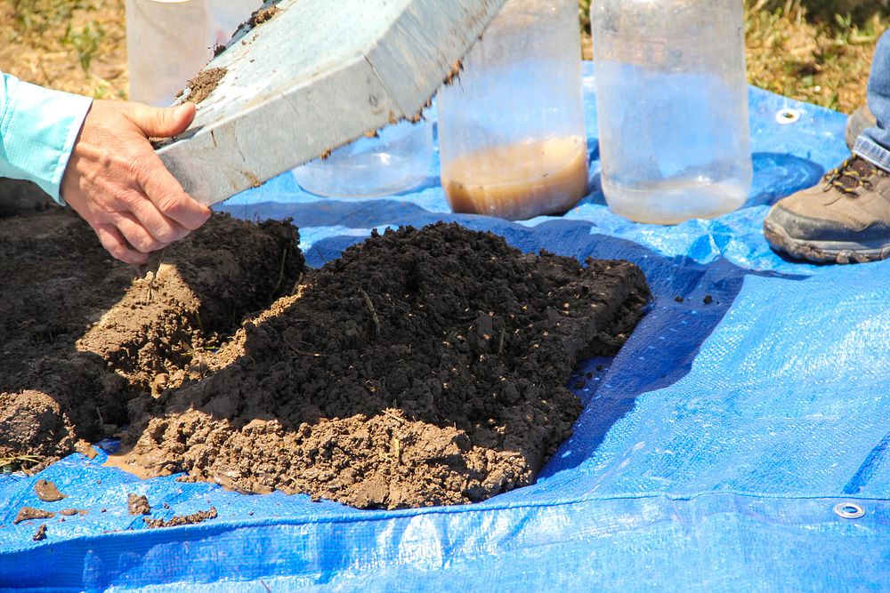 USDA-NRCS State Soil Scientist Shawn | Free Photo - rawpixel