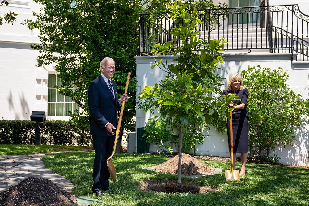 President Joe Biden and First Lady Jill Biden participate in a tree planting ceremony with gold star family members on…