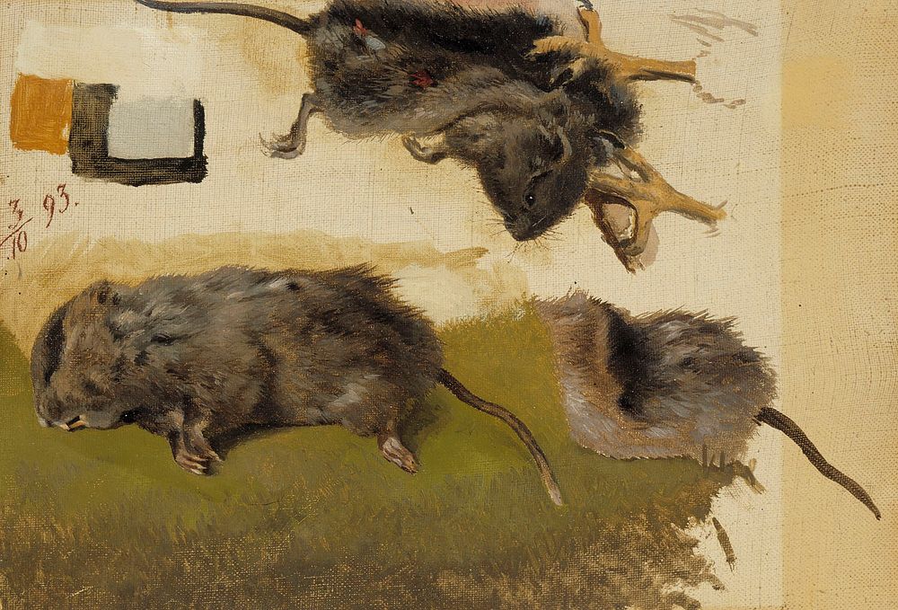 Rodents, 1893, by Ferdinand von Wright