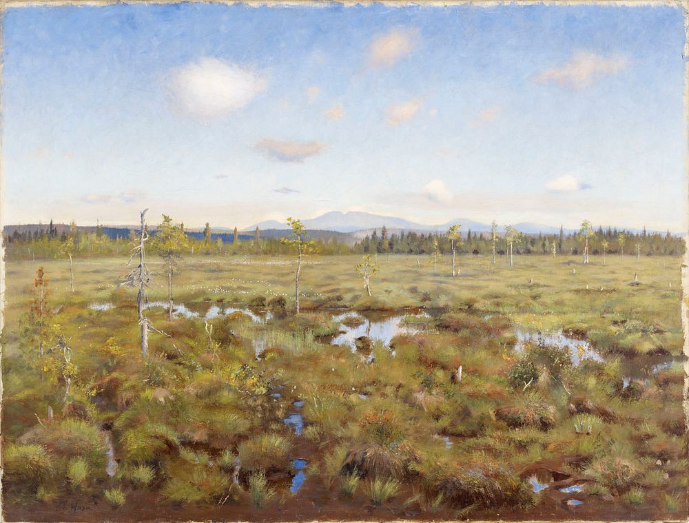 Landscape from lapland, 1892, by Thorsten Wasastjerna