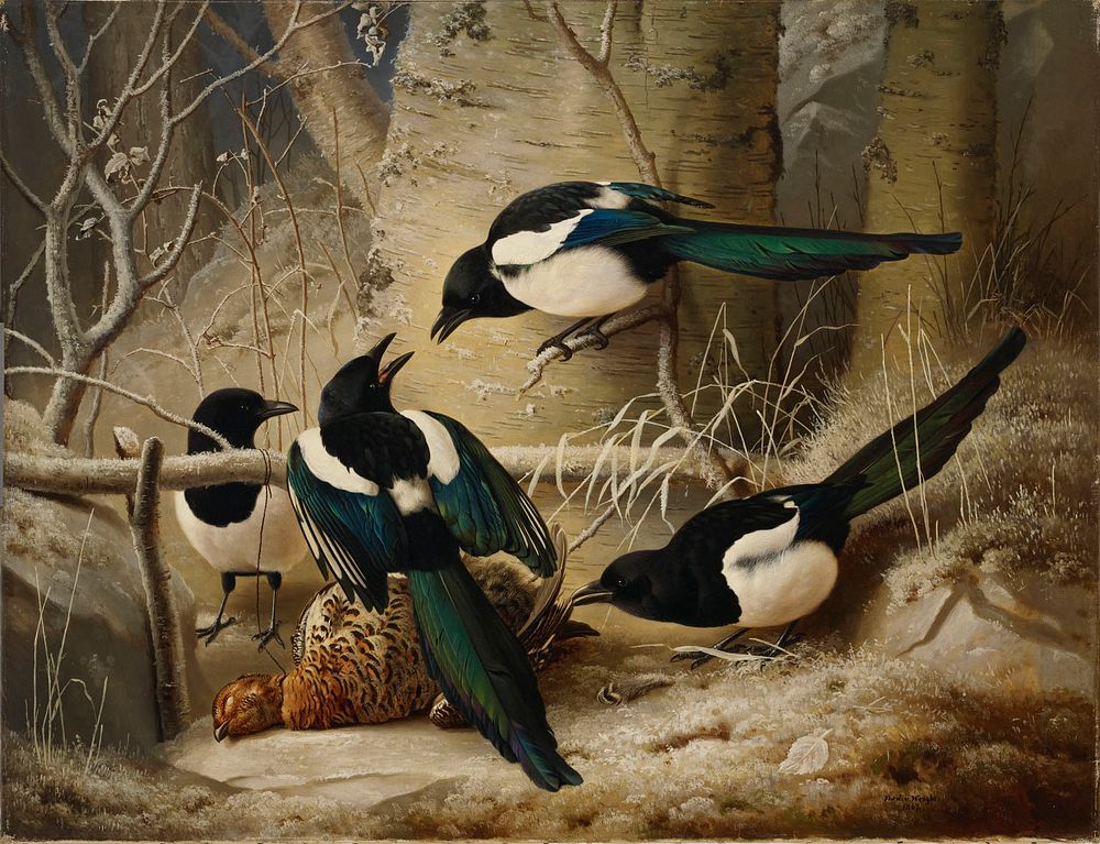 Magpies round a dead female capercaillie, 1867, by Ferdinand von Wright