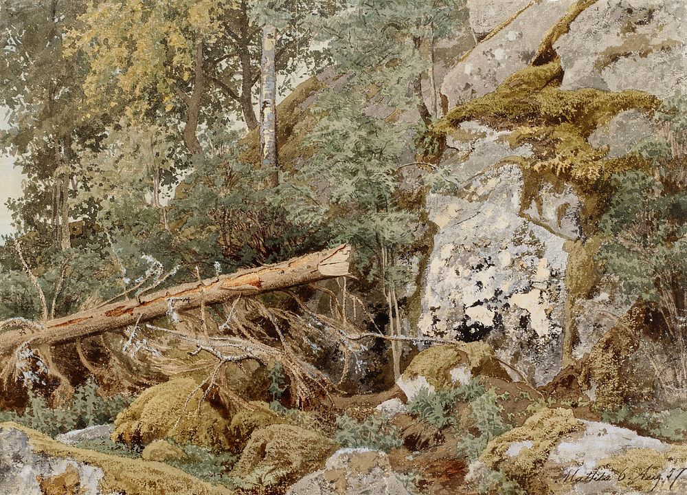 Sammaleinen kallio metsässä, 1857, Werner Holmberg