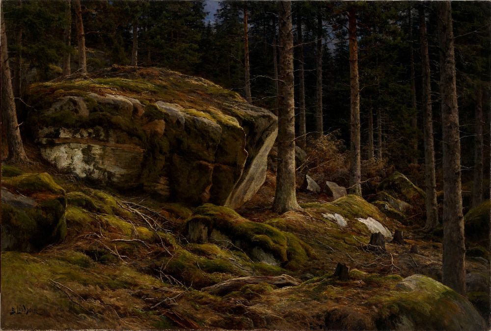 Woods landscape, 1860 - 1900, Berndt Lindholm