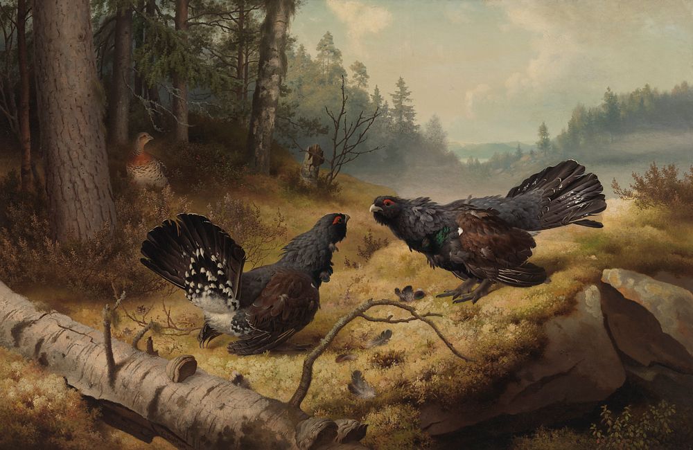 The fighting capercaillies, 1886, by Ferdinand von Wright