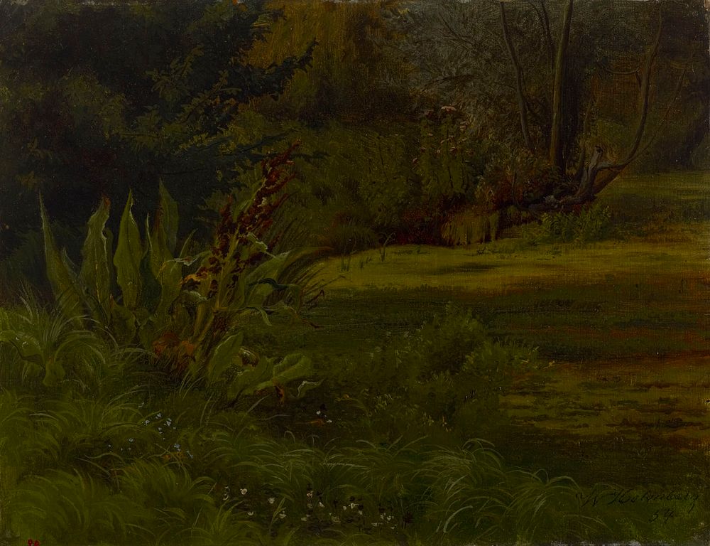 Lampi metsässä, harjoitelma, 1854, Werner Holmberg