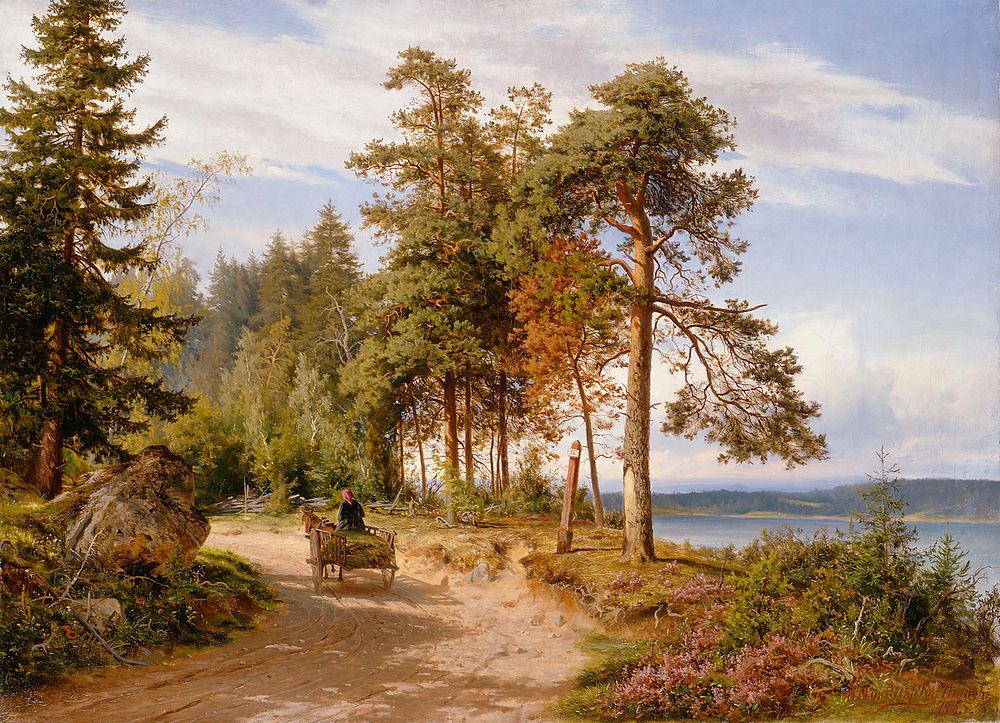 Maantie suomessa, 1865, Hjalmar Munsterhjelm