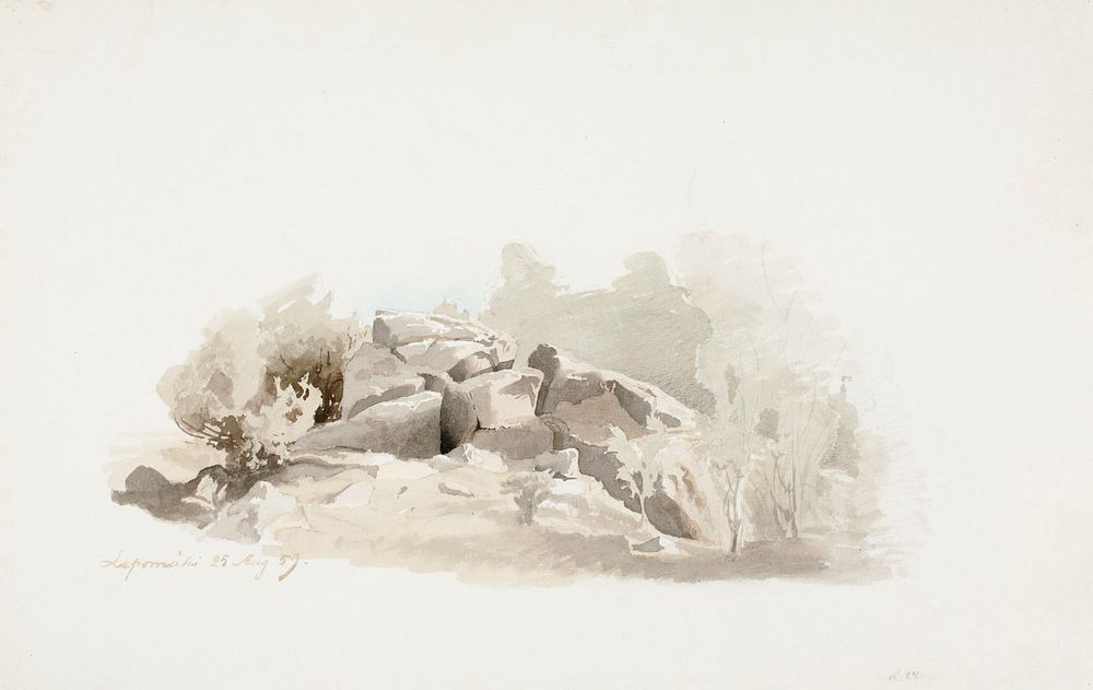Rikkonainen kallionkieleke pensaitten ympäröimänä, 1859, Werner Holmberg