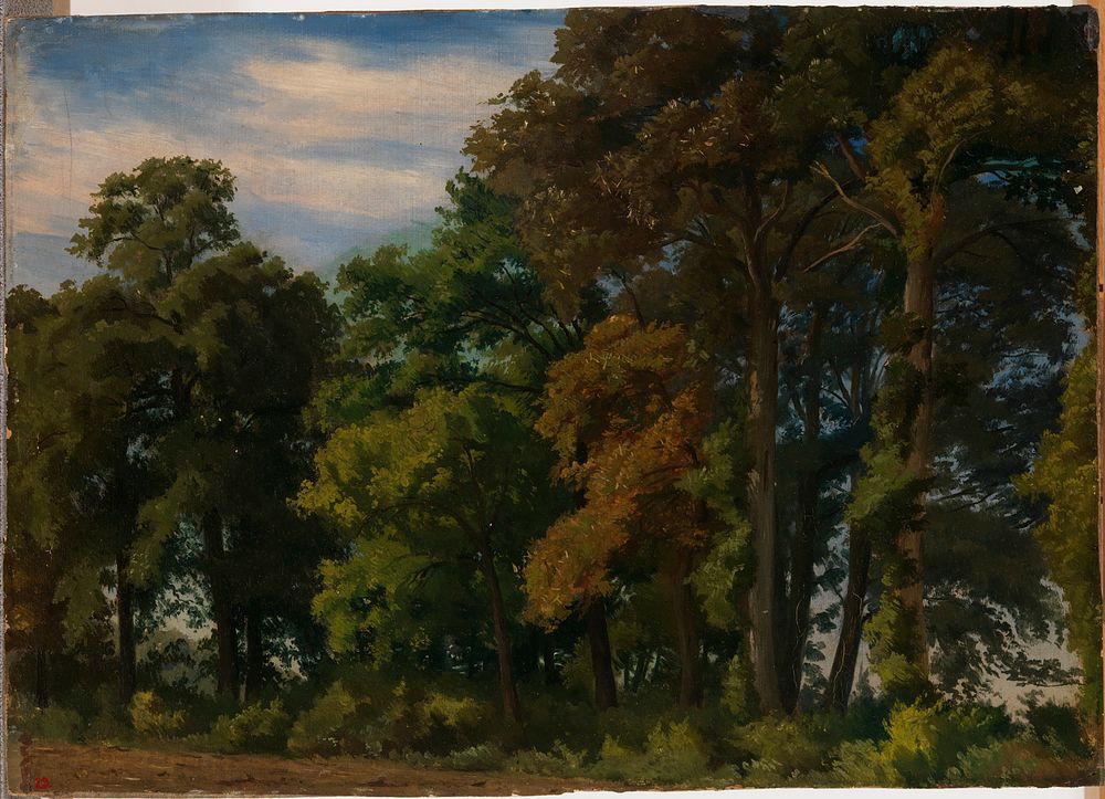 Landscape in germany, study, 1854, Werner Holmberg