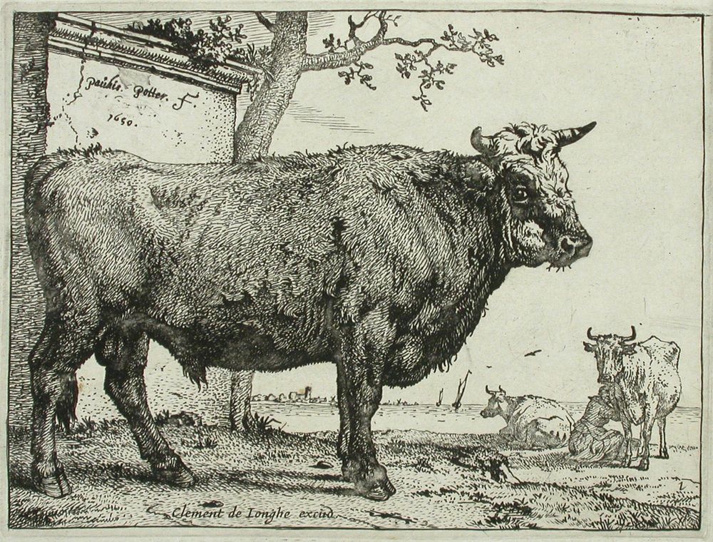 The bull, 1650, Paulus Potter