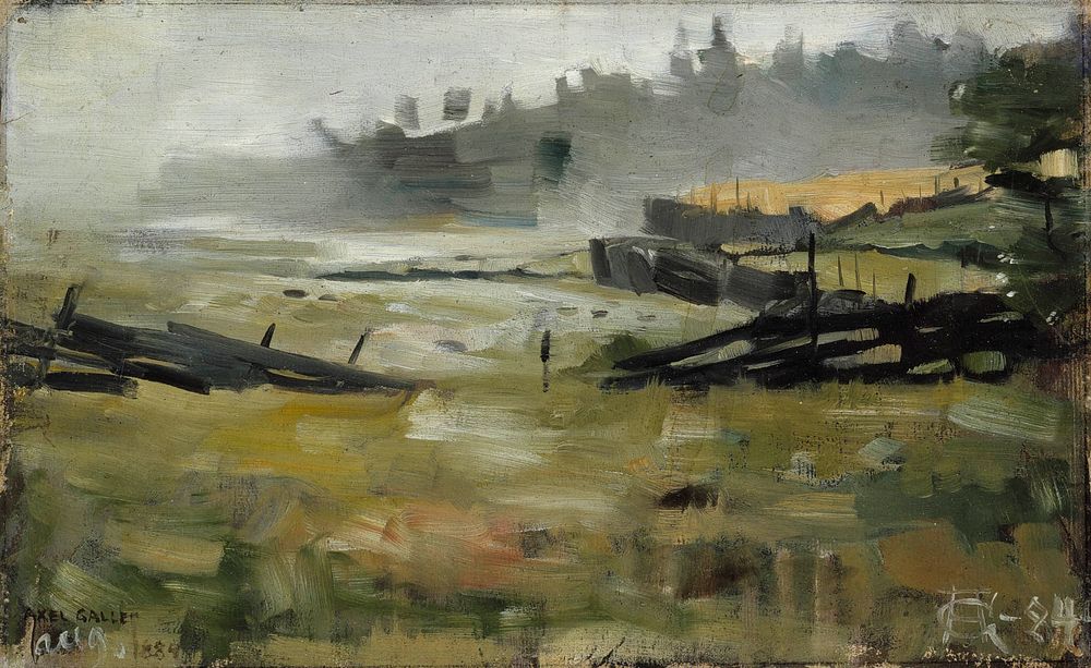 Misty landscape (1884)  oil painting by Akseli Gallen-Kallela. 