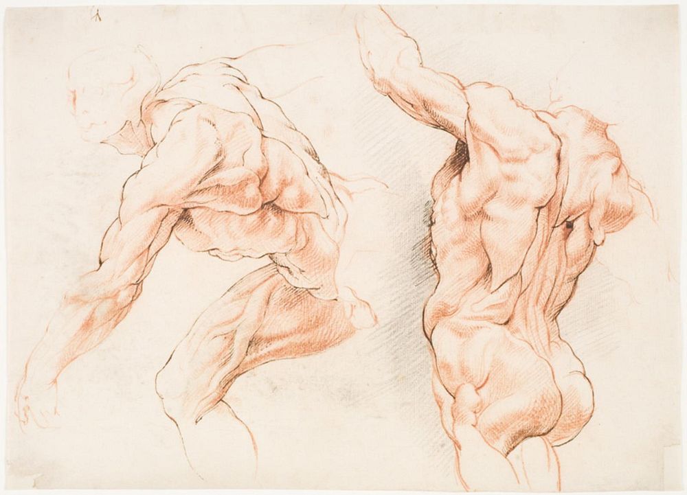 Two anatomical studies of a man leaning to the left and another seen from behind with raised arm (écorché) by Willem Panneels