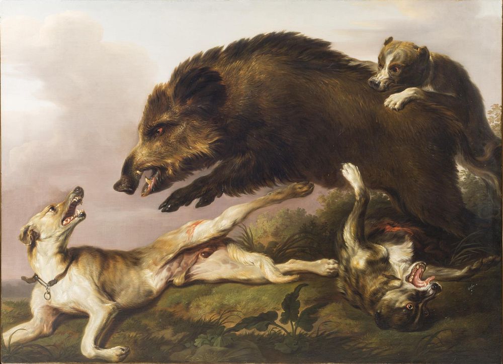 Wild boar hunting by Christian David Gebauer