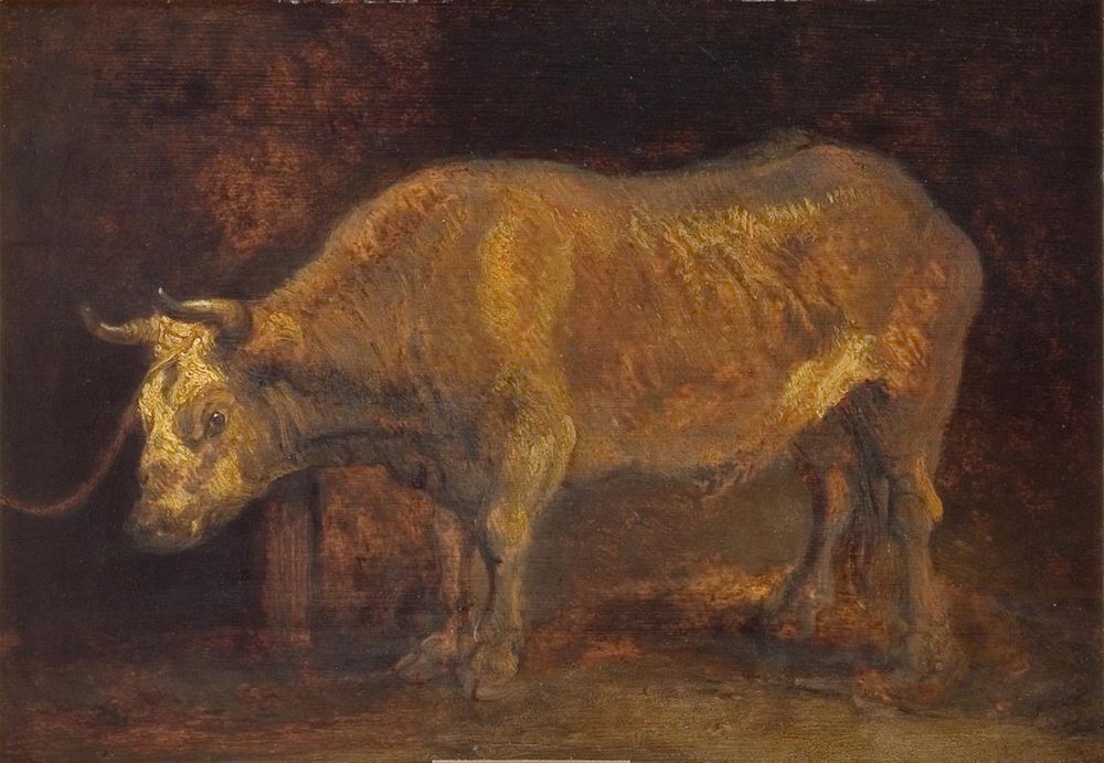 Standing bull by Rembrandts Skole