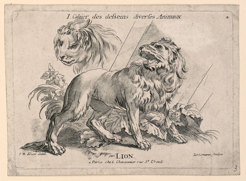 Studies of Lions, Plate 4 from "Cahier des Desseins Diverses Animeaux"