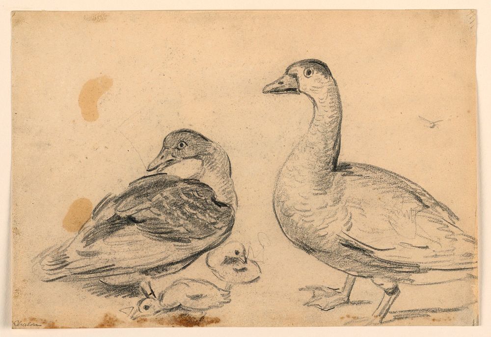 Studies of Ducks and a Fowl with Chickens, Henry Bernard Chalon