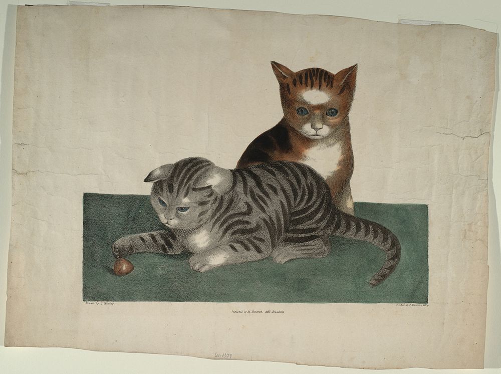 Untitled (Two Kittens), Smithsonian National Museum of African Art