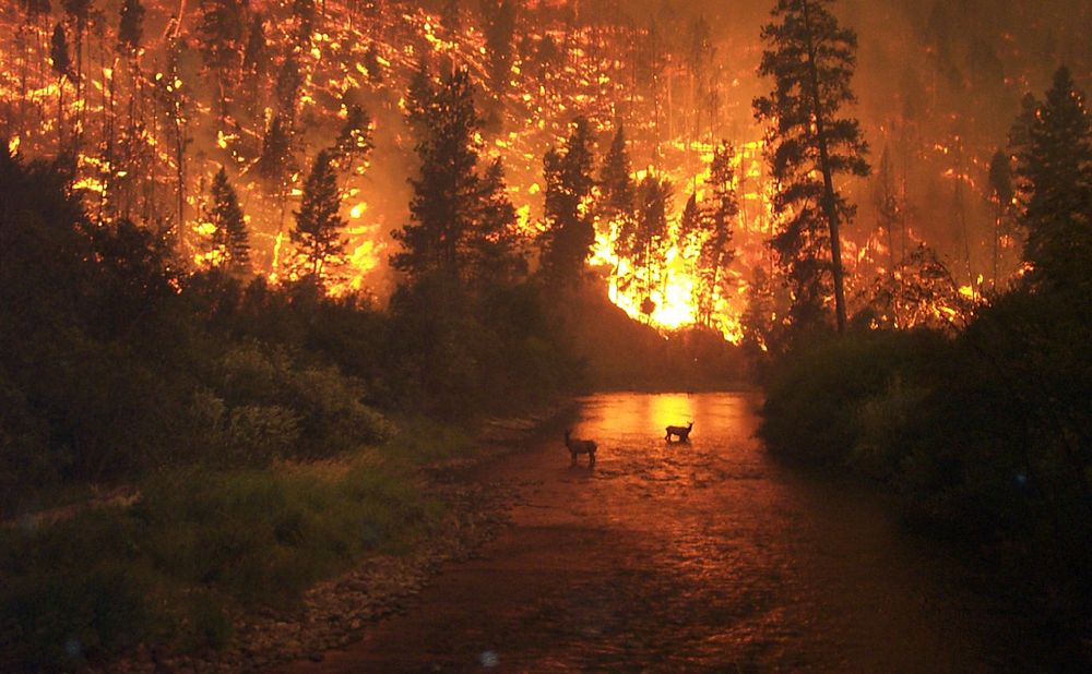 "Elk Bath" – A wildfire on the East Fork of the Bitterroot River on the Sula Complex in the Bitterroot National Forest in…