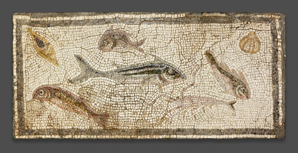 Mosaic Floor Panel Depicting Marine Life by Ancient Roman