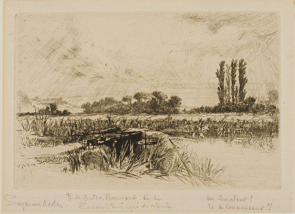 A Water Meadow by Francis Seymour Haden
