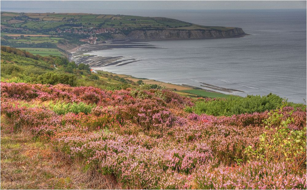 Sea and sky, Robin Hood's Bay, blooming heather, the North York Moors, and an old Ford. 